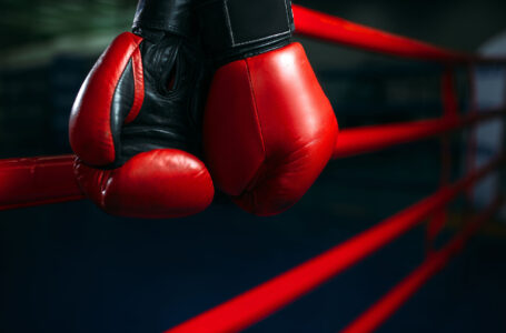 Red gloves on the ring ropes, boxing concept, nobody. Martial arts symbol